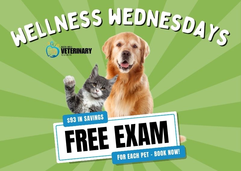 Carousel Slide 1: Book Now >